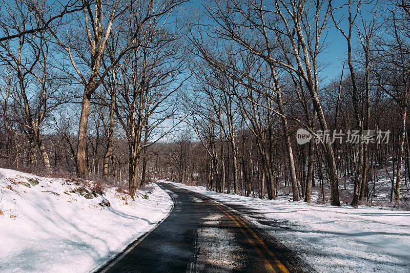 纽约州哈里曼州立公园的雪地道路