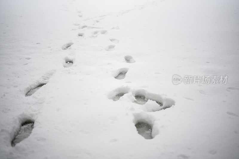 脚印在雪地上