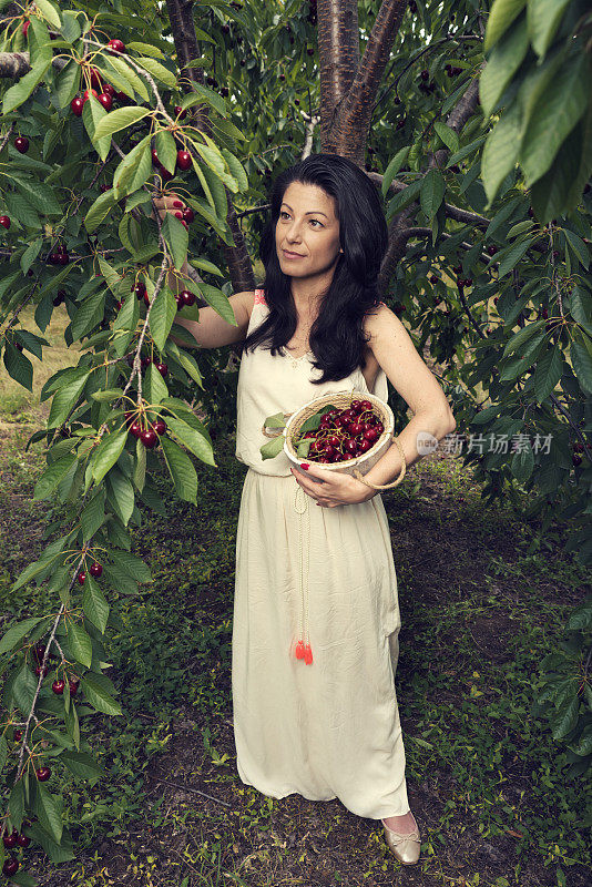 美丽的年轻女子拿着装满樱桃的白桶在果园里从选择焦点拍摄