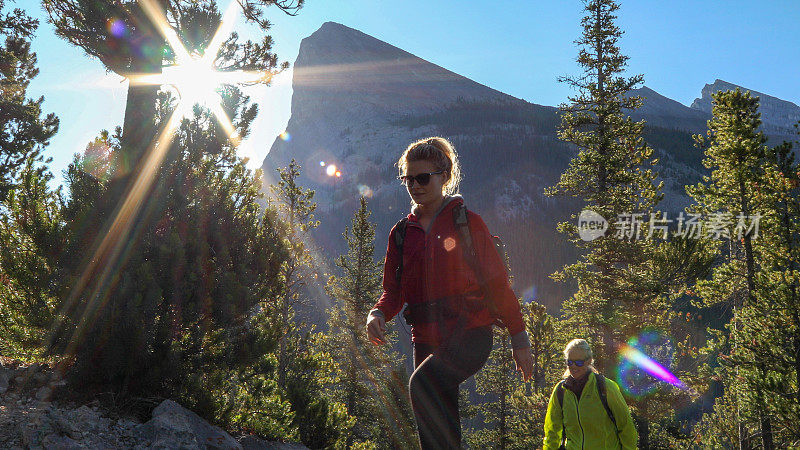 女性徒步旅行者在森林中爬山