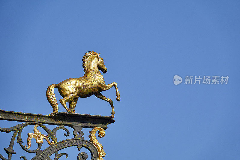 金色的马在蓝天上签名