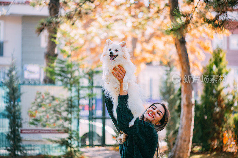 毛茸茸的博美狐狸和主人