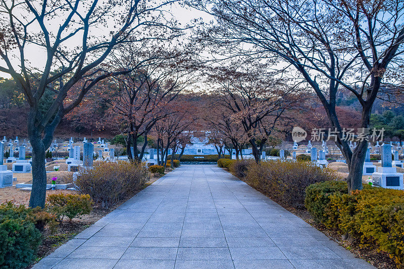 首尔国家公墓的墓碑