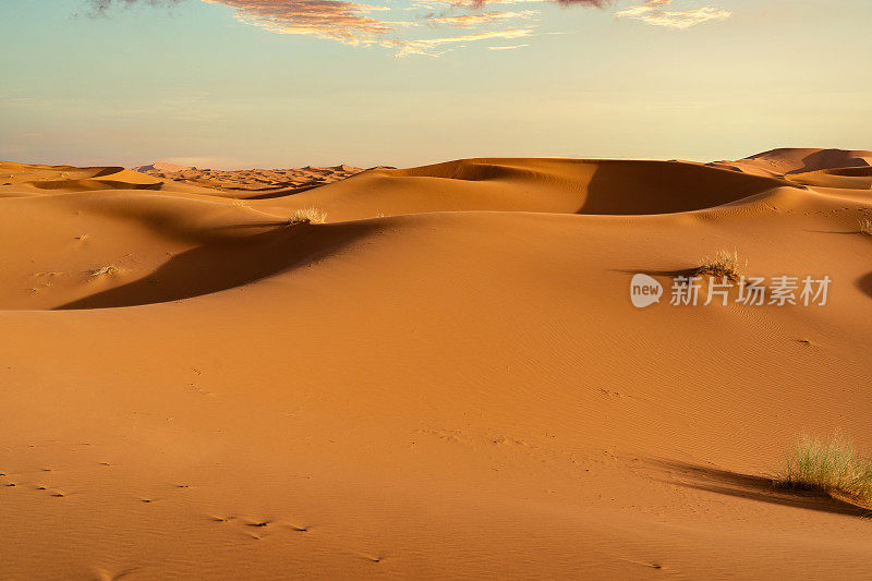 摩洛哥Merzouga沙漠的橙色沙丘和多云的天空。