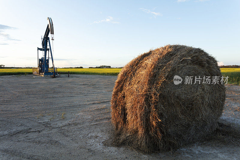 草原油泵杰克加拿大美国