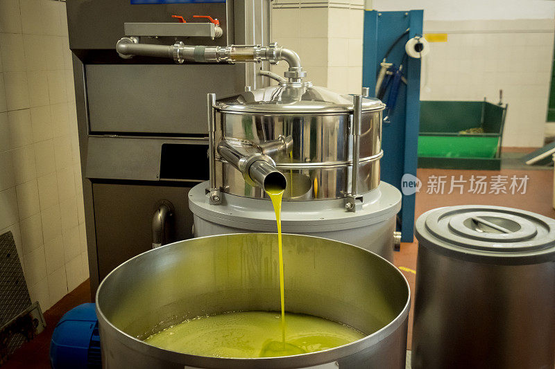 橄榄油从研磨机的管道中流出