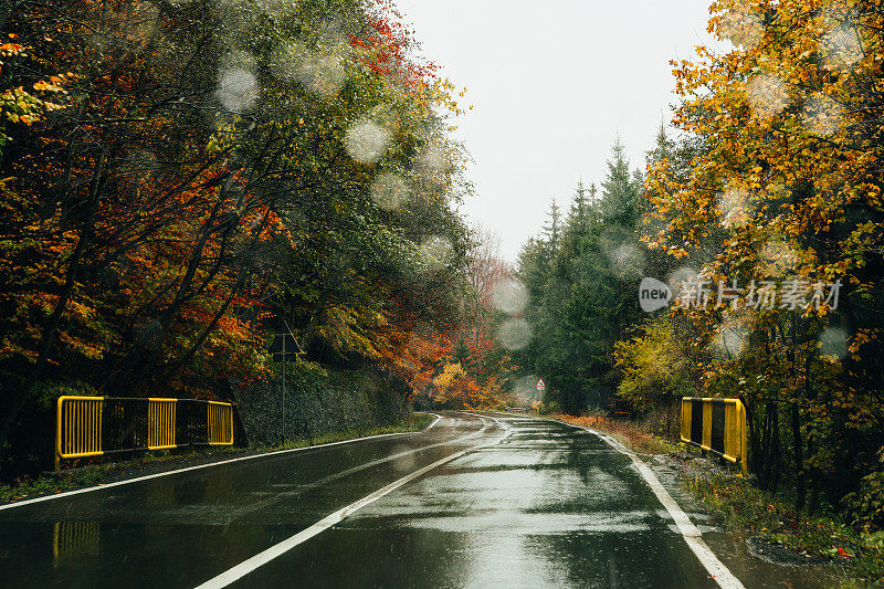 秋日空旷的路上下着雨