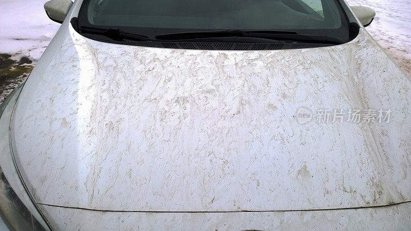 汽车白色引擎盖上的泥。肮脏的泥泞的玻璃。准备洗车。冬天过后洗身体。清洁汽车外观。腐蚀防护的概念。安全驾驶。车体。