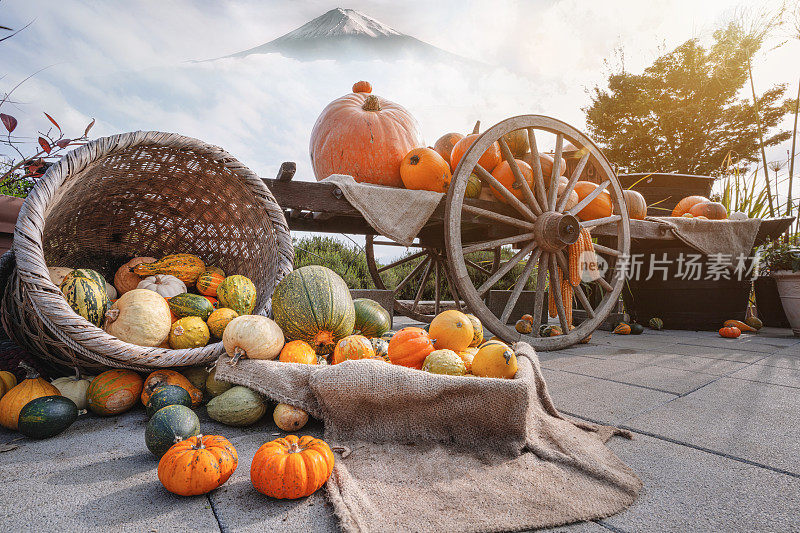 秋天的万圣节南瓜。成熟的秋天蔬菜在一辆旧木车和富士山为背景