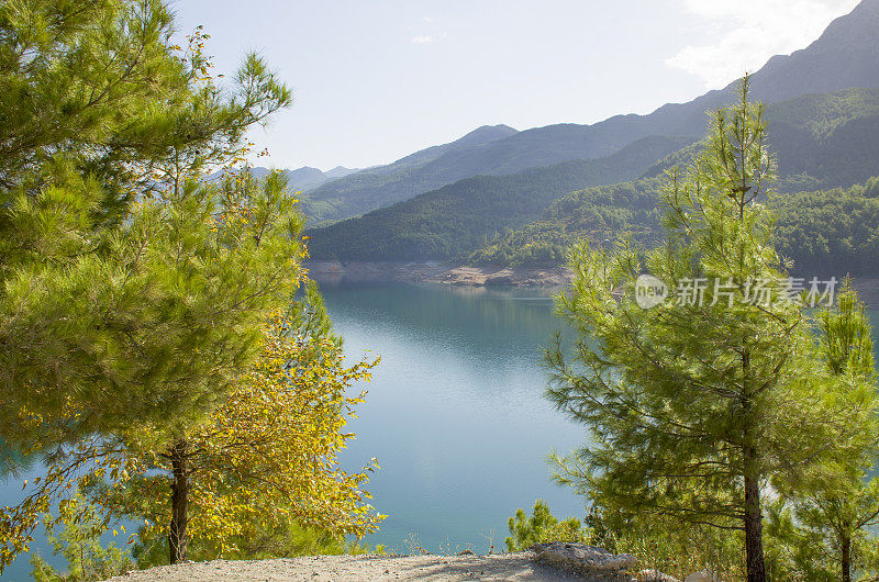 土耳其湖美丽的自然风景，茶树丛中