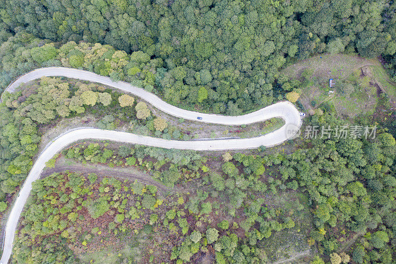 蜿蜒的道路。穿过森林的田园诗般的蜿蜒道路