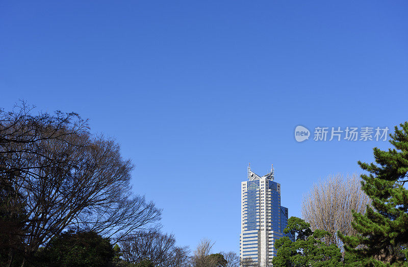 现代企业高层建筑，森林映着晴朗的天空