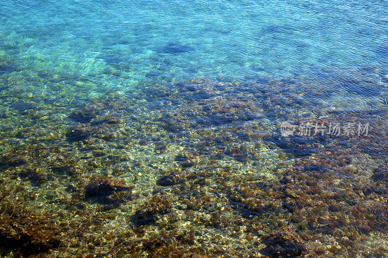 美丽的绿松石色海景，清澈透明的海水