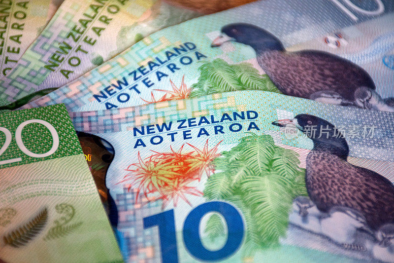 新西兰元纸币(NZD)背景