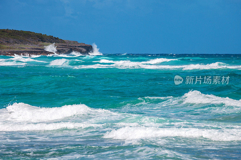 加勒比海岸-长湾，牙买加