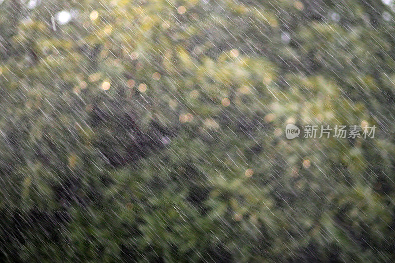 雨，雨，走开