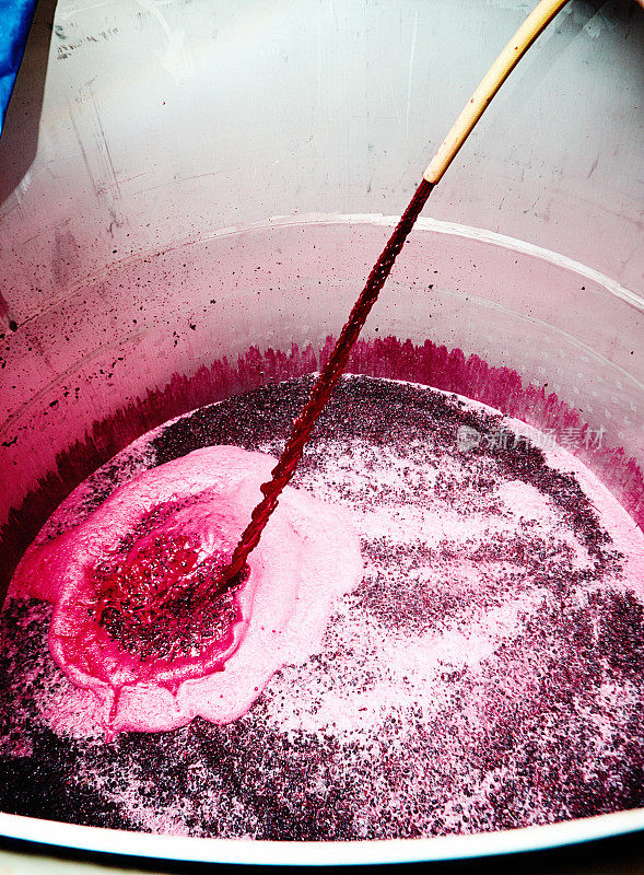 葡萄酒和红葡萄从软管中倒入酒庄的金属大桶