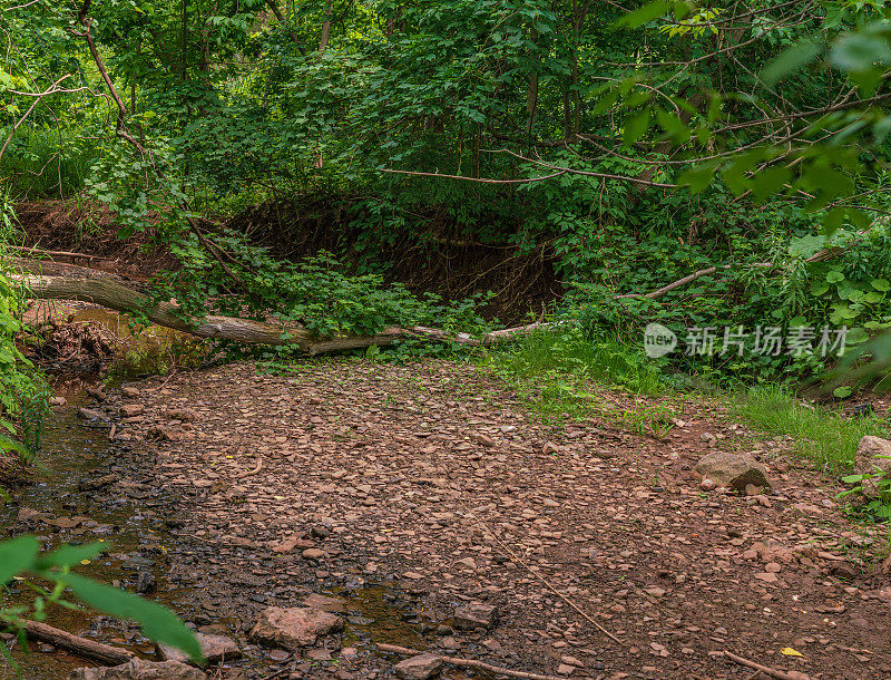 自然景观-溪流穿过亨德利山谷，阳光反射在水面上