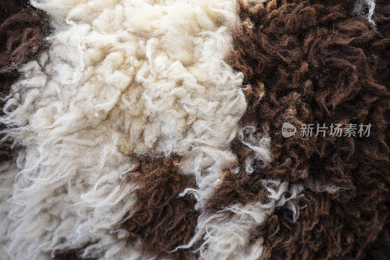 绵羊的毛是棕色的。