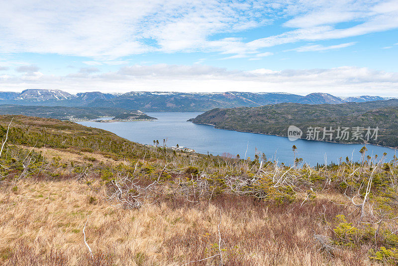 格罗斯莫恩国家公园瞭望山步道，邦尼湾，纽芬兰和拉布拉多