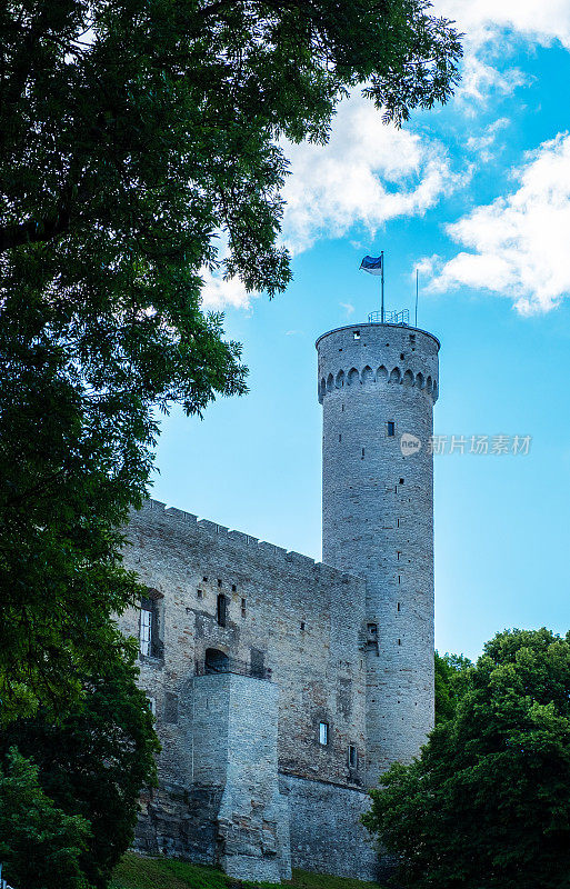 石头堡垒墙和瞭望塔“长德”。塔林古城的建筑。