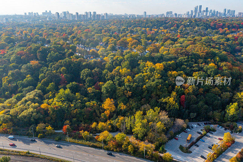 空中常青砖厂和玫瑰谷在秋天，多伦多，加拿大