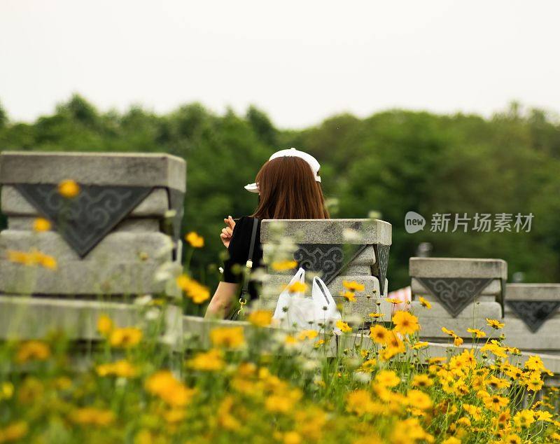 中国青龙湖公园，黄花盛开的美丽田野的特写