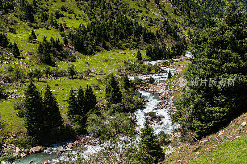 在中国新疆伊犁，河流和树木的美丽风景