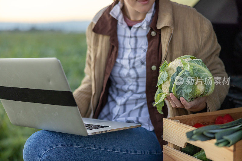 一个农妇拿着一棵新鲜的花椰菜，坐在她汽车的后备箱里，旁边放着一个蔬菜盒，膝上放着一台笔记本电脑