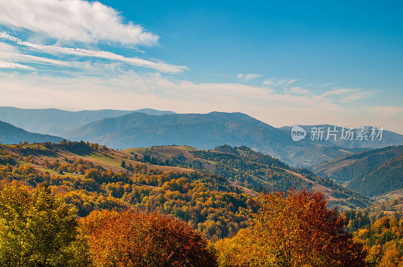 秋高气爽，山林景色缤纷。喀尔巴阡山,乌克兰