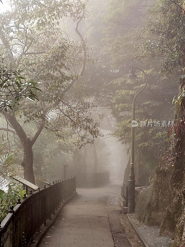 香港太平山夏力道的雾