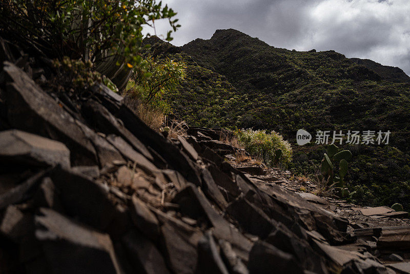 在加那利群岛特内里费岛的沿海生态系统徒步旅行