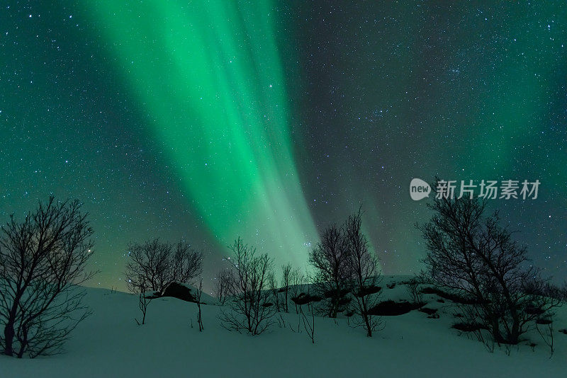 挪威罗弗敦群岛上空的北极光