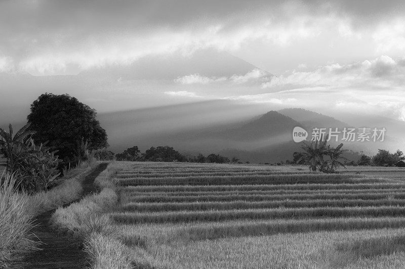 日落或日出的柔和光线突出了山峰，并产生了戏剧性的阴影