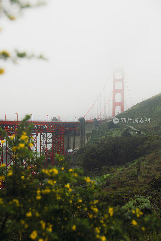 加州旧金山，晨雾中金门大桥上的汽车风景