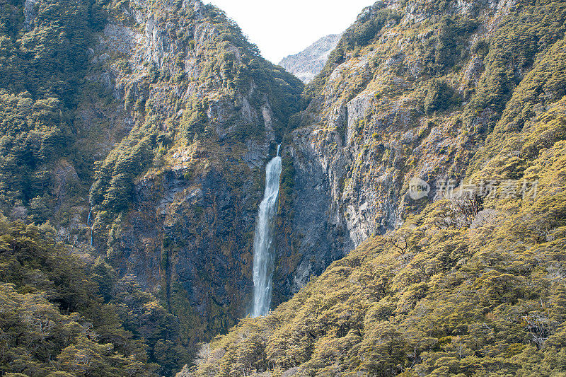 魔鬼潘趣碗瀑布在郁郁葱葱的新西兰绿色植物中瀑布，亚瑟山口的宝石