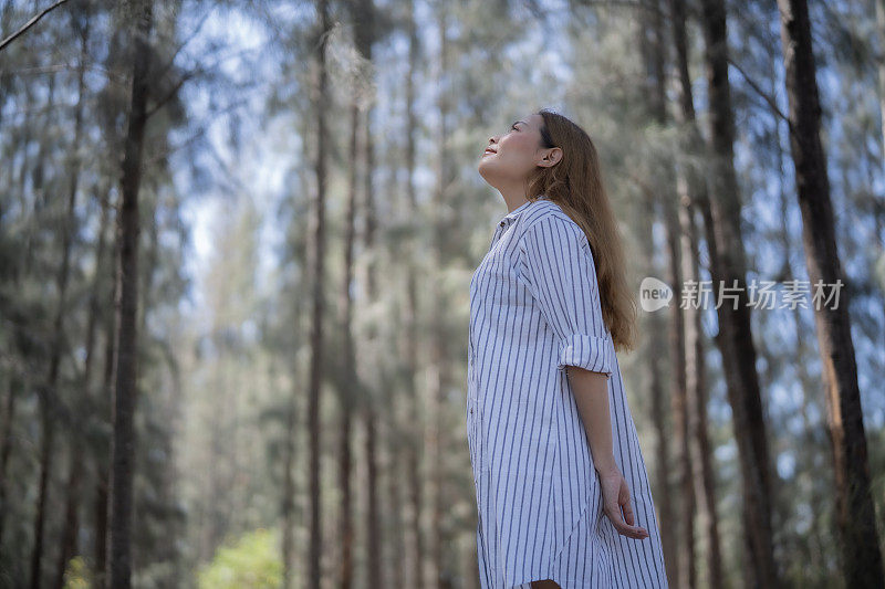 年轻的亚洲女子走进松林，抬头仰望，充满清新，感受自然，感受风，感受阳光，意识到自然的重要。