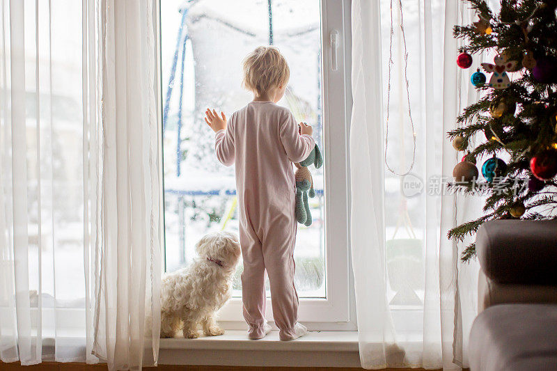 可爱的小男孩穿着睡衣，和他的宠物狗站在大落地窗前，享受着雪