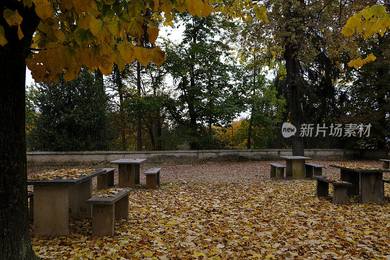 秋天的野餐区