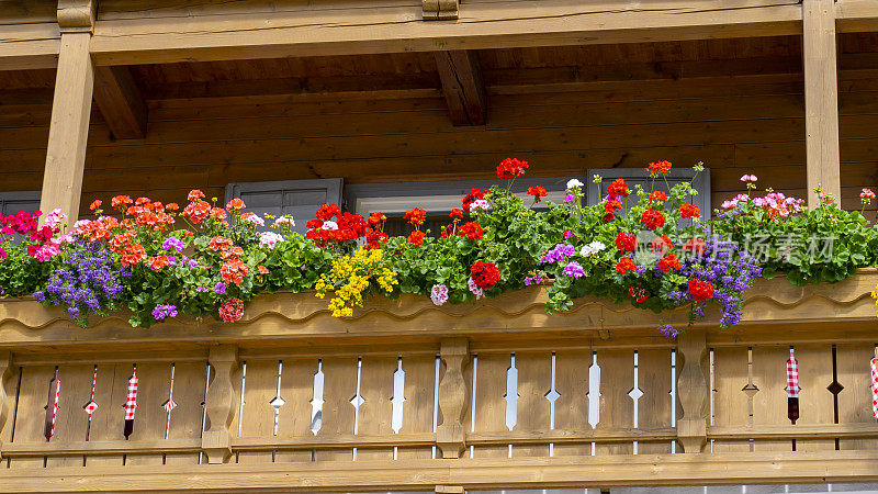 传统的花阳台在阿尔卑斯山和白云石。阳台上五颜六色的花。夏天的时间。混合的花朵和颜色。欧洲阿尔卑斯山的一般性竞赛
