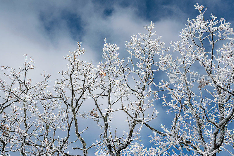 寒冷的季节——美丽的冬季风景