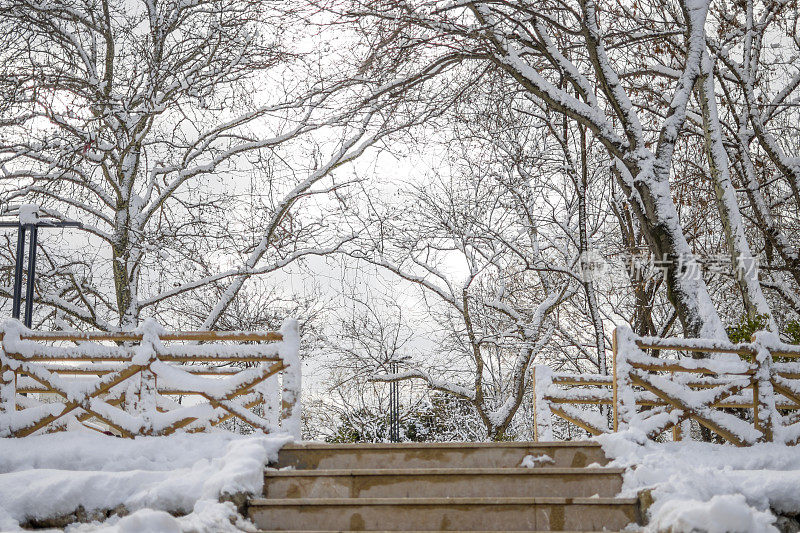 美丽的冬季公园，结冰的水覆盖着雪