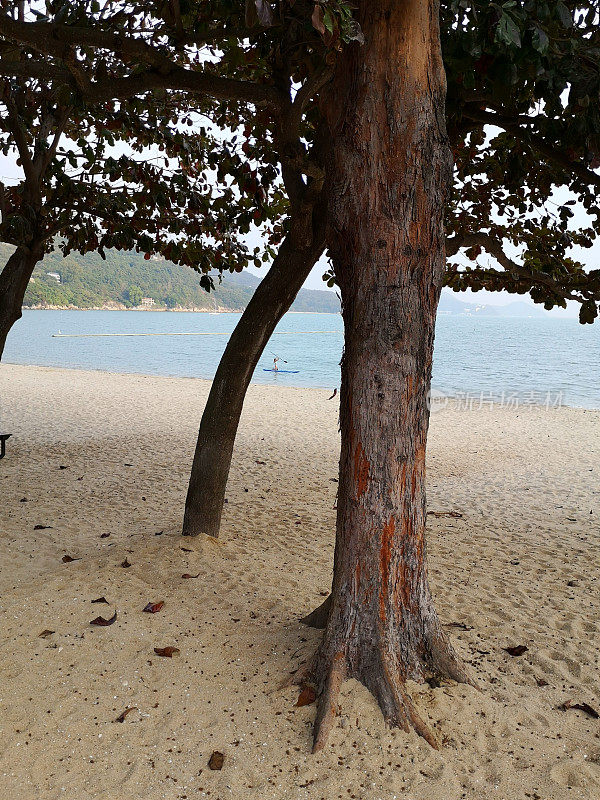 在香港大屿山银矿湾划皮艇