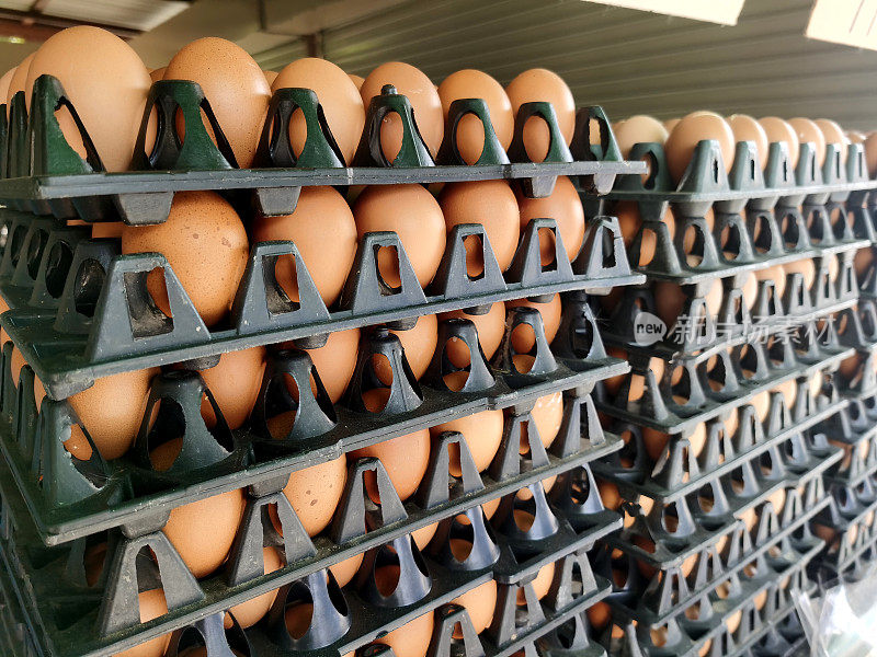 在经济低迷、油价高企、通货膨胀的时候，鸡蛋很贵。