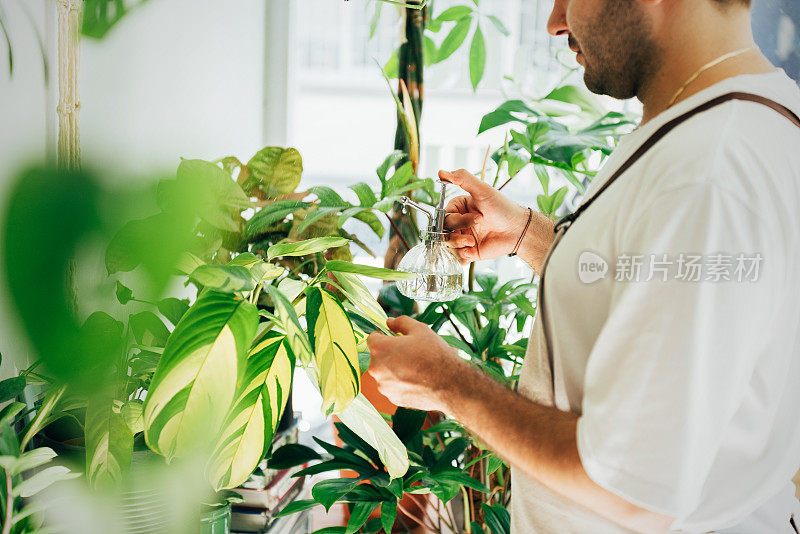 花商正在给植物浇水