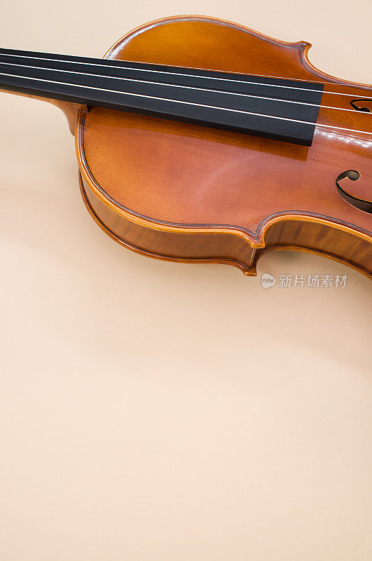 垂直拍摄的枫木小提琴只显示上和中心回合