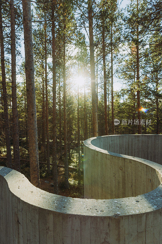 在挪威隆丹国家公园的松林中，可以看到湖和山的风景