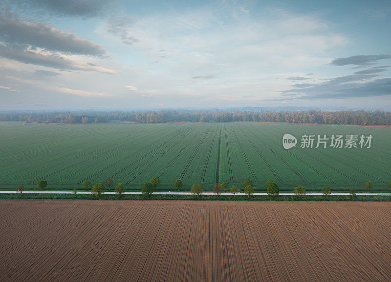 乡村景观与乡村道路