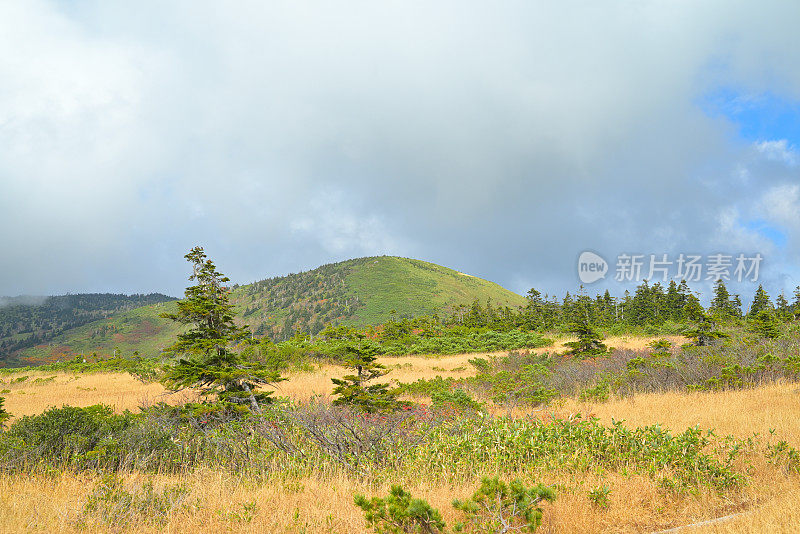 秋景，日本青森八谷田山(10月-2022年)