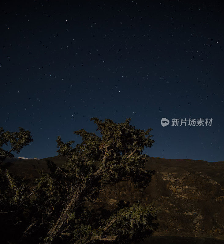 夜晚的杜松树丛在山间悬崖峭壁的映衬下，夜空的繁星和山间的岩脊，形成了夜间的杜松山景观